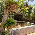 Rustic With Pond And Deck אלג'זור