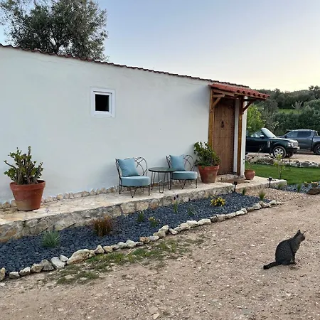 Rustic With Pond And Deck בית נופש אלג'זור