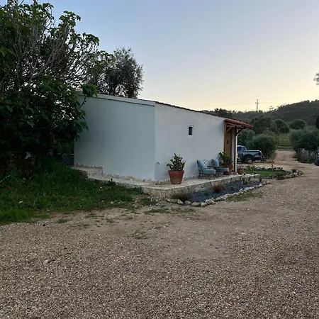 Rustic With Pond And Deck בית נופש אלג'זור