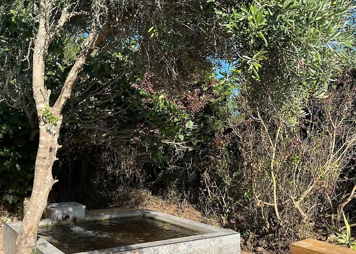 度假居 Rustic With Pond And Deck 阿尔热祖尔